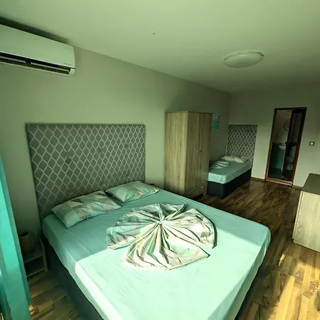 Sineva * Πριμόρσκο